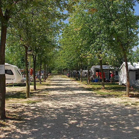Trevisago Iris Park